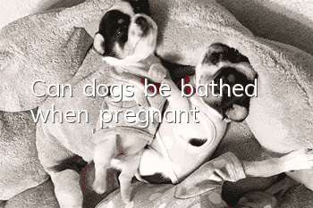Can dogs be bathed when pregnant?