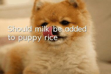 Should milk be added to puppy rice?