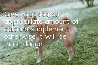 Give your dog an appropriate amount of calcium supplement, otherwise it will be more dangerous