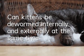 Can kittens be dewormed internally and externally at the same time?