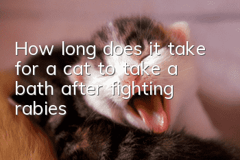 How long does it take for a cat to take a bath after fighting rabies?
