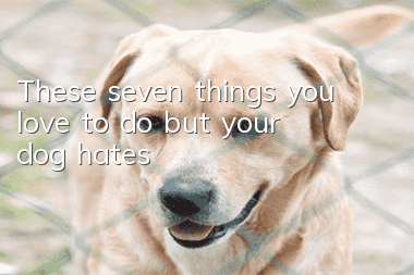 These seven things you love to do but your dog hates!