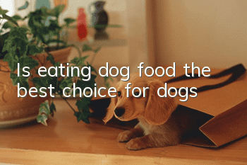 Is eating dog food the best choice for dogs?
