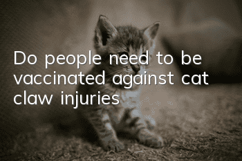 Do people need to be vaccinated against cat claw injuries?