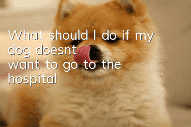 What should I do if my dog doesn’t want to go to the hospital?