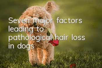 Seven major factors leading to pathological hair loss in dogs