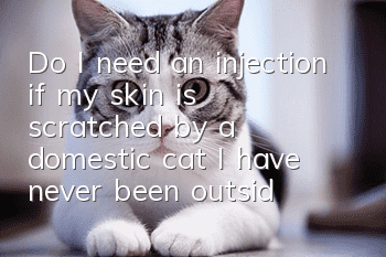 Do I need an injection if my skin is scratched by a domestic cat? I have never been outside.