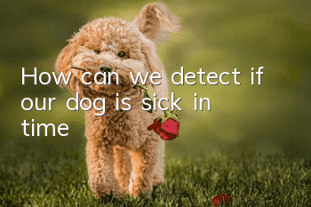 How can we detect if our dog is sick in time?