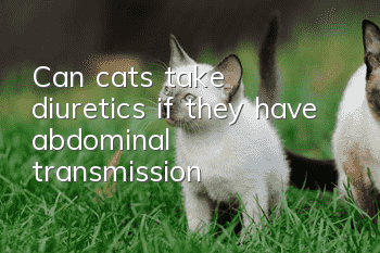 Can cats take diuretics if they have abdominal transmission?