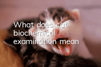 What does cat biochemical examination mean?
