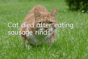 Cat died after eating sausage rinds