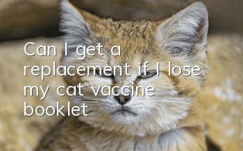 Can I get a replacement if I lose my cat vaccine booklet?