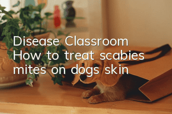 Disease Classroom | How to treat scabies mites on dogs’ skin