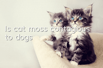 Is cat moss contagious to dogs?