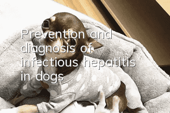 Prevention and diagnosis of infectious hepatitis in dogs