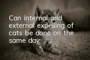 Can internal and external expelling of cats be done on the same day?