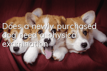 Does a newly purchased dog need a physical examination?