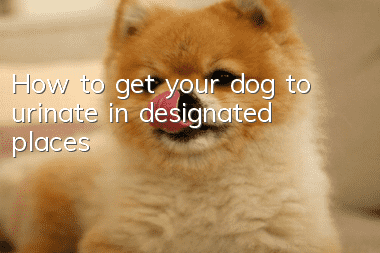 How to get your dog to urinate in designated places