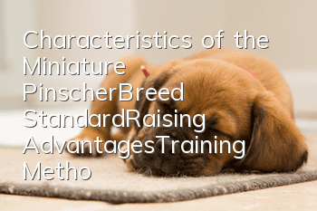 Characteristics of the Miniature Pinscher_Breed Standard_Raising Advantages_Training Methods