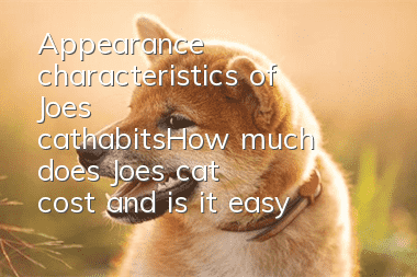 Appearance characteristics of Joe's cat_habits|How much does Joe's cat cost and is it easy to raise?