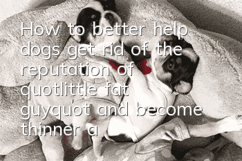 How to better help dogs get rid of the reputation of "little fat guy" and become thinner and healthier!