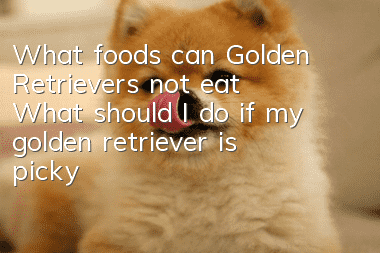 What foods can Golden Retrievers not eat? What should I do if my golden retriever is picky?