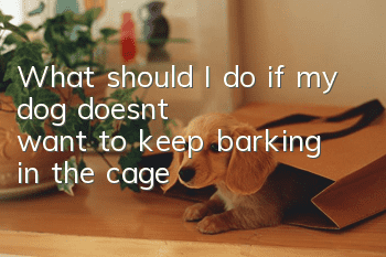 What should I do if my dog doesn’t want to keep barking in the cage?