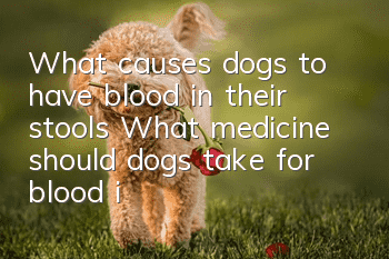 What causes dogs to have blood in their stools? What medicine should dogs take for blood in their stools?