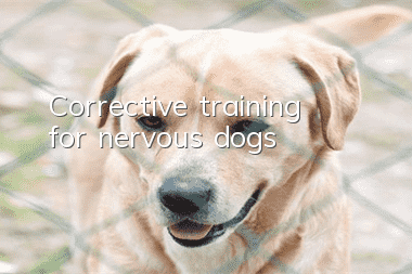Corrective training for nervous dogs