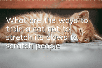 What are the ways to train a cat not to stretch its claws to scratch people?