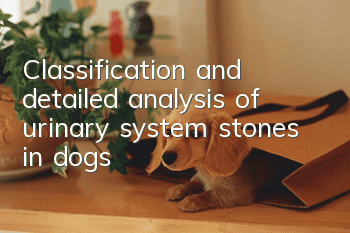 Classification and detailed analysis of urinary system stones in dogs