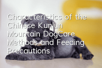 Characteristics of the Chinese Kunlun Mountain Dog_Care Methods and Feeding Precautions