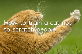 How to train a cat not to scratch people
