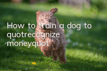 How to train a dog to "recognize money"?