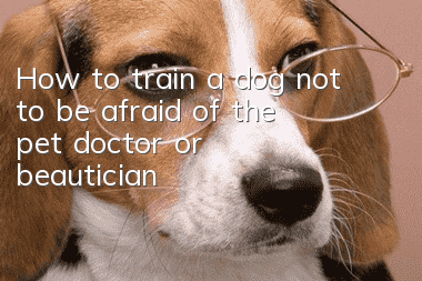 How to train a dog not to be afraid of the pet doctor or beautician?