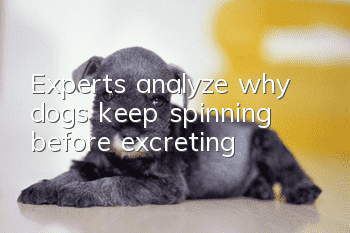 Experts analyze why dogs keep spinning before excreting?
