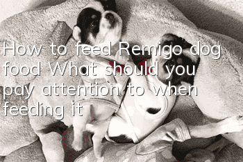How to feed Remigo dog food? What should you pay attention to when feeding it?