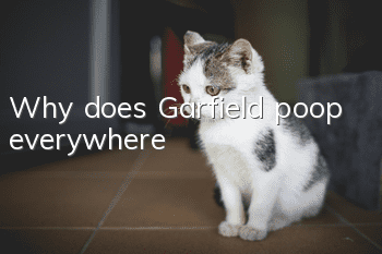 Why does Garfield poop everywhere?
