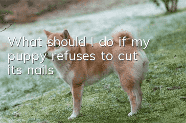 What should I do if my puppy refuses to cut its nails?