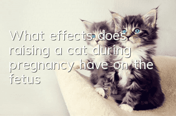 What effects does raising a cat during pregnancy have on the fetus?