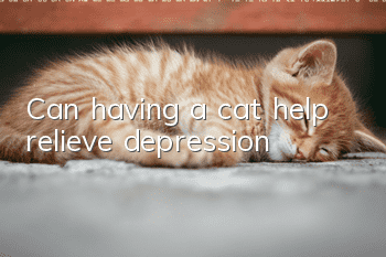 Can having a cat help relieve depression?