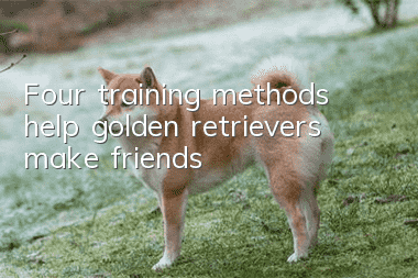 Four training methods help golden retrievers make friends