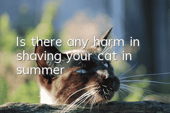 Is there any harm in shaving your cat in summer?