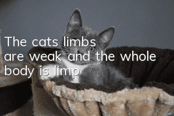 The cat's limbs are weak and the whole body is limp