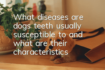 What diseases are dogs’ teeth usually susceptible to, and what are their characteristics?