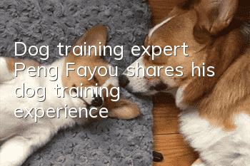 Dog training expert Peng Fayou shares his dog training experience
