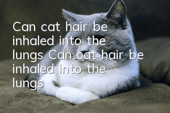 Can cat hair be inhaled into the lungs? Can cat hair be inhaled into the lungs?