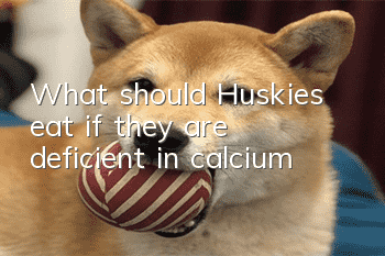 What should Huskies eat if they are deficient in calcium?