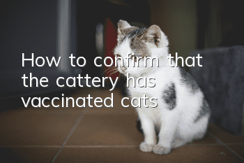 How to confirm that the cattery has vaccinated cats