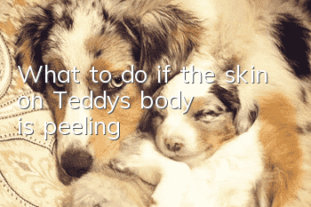 What to do if the skin on Teddy's body is peeling